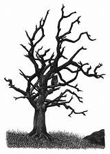 Dead Tree Drawing Draw Silhouette Twisted Creepy Drawings Trees Pencil Tattoo Clipart Bird Forest Dog Tattoos Clipartmag Stump Pine Cliparts sketch template