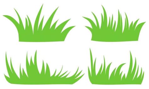 grass vector art icons  graphics