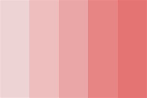 blushes color palette