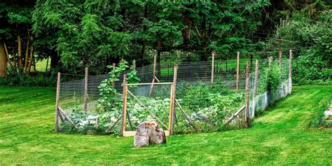 27 Temporary Fencing Ideas For Any Purpose In Backyard