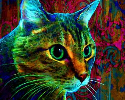 cat portraits  art paw prints  canvas