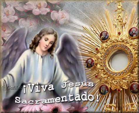 Imágenes Religiosas De Galilea Jesús Sacramentado