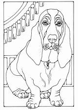 Basset Coloring Pages Hound Dog Edupics Colouring Puppy Adult Printable Getcolorings Print Sheets sketch template