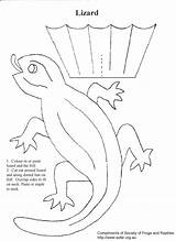 Frilled Reptile Dragon Bearded Reptiles Lizards Designlooter Rainforest Sofar sketch template