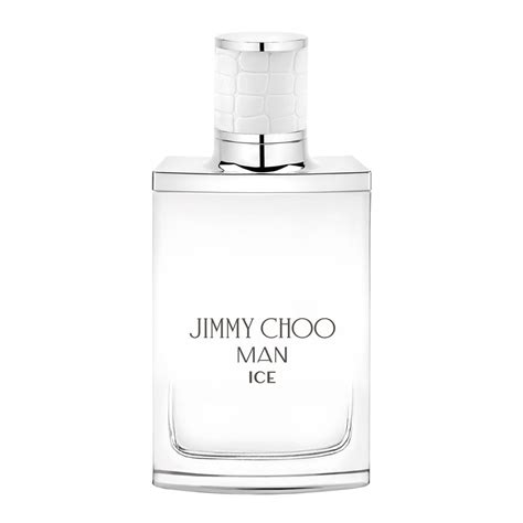 buy jimmy choo man ice eau de toilette 100ml online at special price in