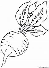 Radish Vegetable Rzodkiewka Kolorowanka Radis Sayuran Sayur Fastseoguru Mewarna Druku Coloringall Mari Pelbagai Malowankę Wydrukuj Maternelle Artisanat Colorier sketch template