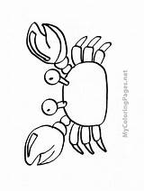 Coloring Pages Crab Cancer Print Template sketch template