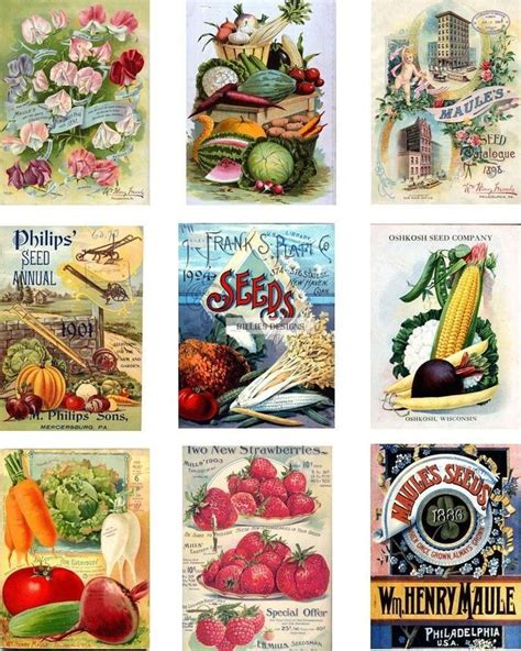 printable vintage seed packets printable word searches