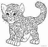 Cheetah Coloring Leopard Pages Printable Kids Snow Drawing Baby Print Easy Animal Line Cub Sheets Cool2bkids Cheetahs Realistic Clouded Colouring sketch template