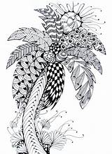 Coloring Summer Pages Printable Adult Palm Tree Adults Coloriage Zentangle Drawing Color Mandala Trees Books Palmier Colouring Print Patterns Doodle sketch template