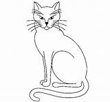 Felino Desenho Colorear Gatinho Gatinhos Feline Felinos Fofos Cats Como Molde Risco Animali sketch template