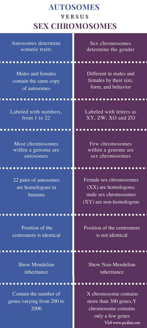 Difference Between Autosomes And Sex Chromosomes – Pediaa Com