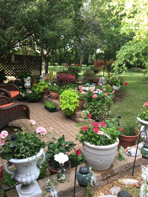 enhance  patio   beautiful outdoor plants