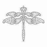 Erwachsener Farbton Dragonfly Libelle Hummer sketch template