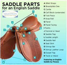 parts   saddle bridle pony club pinterest saddles