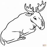Moose Coloring Pages Sitting Cute Drawing Bull Printable Color Kids Getdrawings Supercoloring Categories sketch template