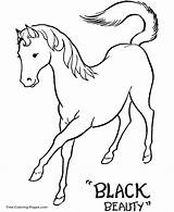 Coloring Pages Horse Horses Color Print sketch template