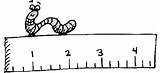 Clipart Inch Inchworm Inches Cliparts Worm Gif Clip Library Clipground Favorites Add sketch template