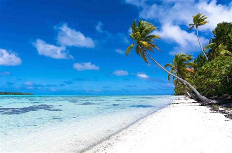 discover zika  south pacific islands easy planet travel