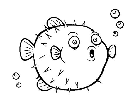 pufferfish coloring page coloringcrewcom
