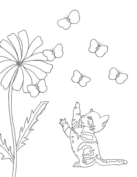 kitten  butterflies coloring pages etsy