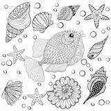 Getrokken Overzeese Zentangle Shells Vissen sketch template