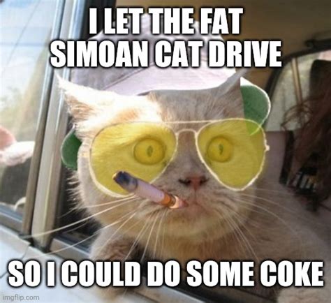 Fear And Loathing Cat Meme Imgflip