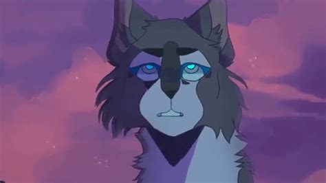 Warrior Cats She Wolf Youtube