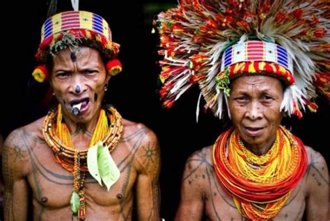 sikerei ritual pengobatan tradisional suku mentawai