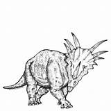 Styracosaurus Karl Addison sketch template