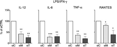 tlr mediated pro inflammatory dendritic cell differentiation  humans requires  combined