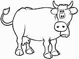 Coloring Pages Cow Printable Library Clipart sketch template