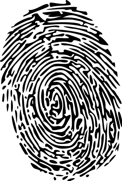 fingerprint clipart   fingerprint clipart png images