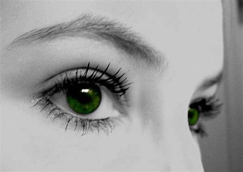 images  green eyes  pinterest cats eyes  colored