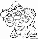 Littlest Lps Printable Colouring Azcoloring sketch template