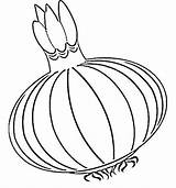Onion Coloring Pages Kids Color Template Fruit sketch template