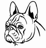 Bulldog French Drawing Outline Coloring Clipart Pages Face Dog Stencil Draw Easy Bulldogs Frenchie Drawings Animales Tattoo Frances Google Silhouette sketch template