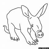 Coloring Aardvark Online Pages Animals Baby Animal Thecolor Visit sketch template