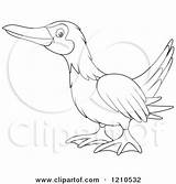 Footed Blue Booby Coloring Boobie Designlooter Outlined Bird Clipart 24kb 470px sketch template