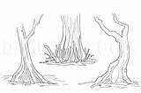 Swamp Swamps Dragoart Trees Papaya sketch template