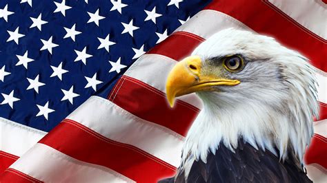 american flag eagle ahain