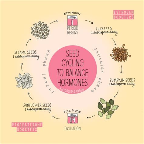 seed cycling for your period and hormones in 2020 foods to balance