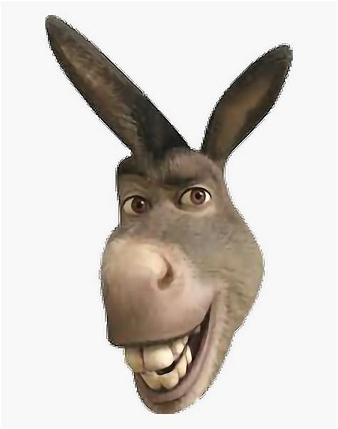 donkey face clip art clipart donkey  shrek png  transparent