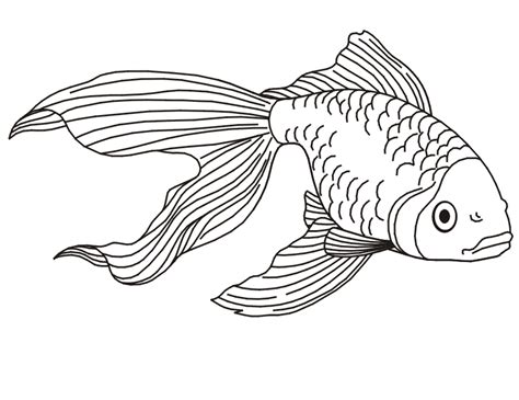printable betta fish coloring pages img foxglove