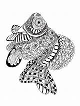 Pages Coloring Zentangle Fish Adults Adult Bright Teens Colors Favorite Choose Color sketch template