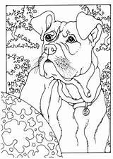 Boxer Coloring Pages Dog Kleurplaat Colouring Dogs Sheets German Pointer Print Kids Edupics Shorthaired Color Boxers Puppy Printable Adult Kleurplaten sketch template