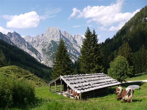 ab auf die alm foto bild sommer natur landschaft bilder auf