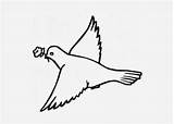 Coloring Pigeon Pages Cute Library Clipart Line Drawing sketch template