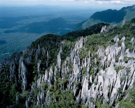 Gunung Mulu National Park A Unesco World Heritage Gunung Mulu
