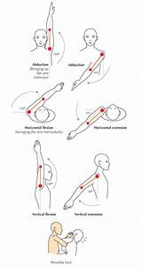 Anatomy Flexion Flexibility Limitations Exercise Physiology Fundamentals Elbow Anatomie Tutsplus Terminology Rom Fracture Extremity Rehab Fundamentos Flexibilidad Joints Schulter Motions sketch template